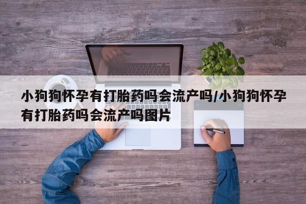 药流药购买微信小狗狗怀孕有打胎药吗会流产吗/小狗狗怀孕有打胎药吗会流产吗图片
