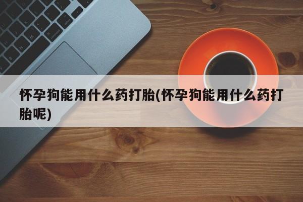 药流药购买微信怀孕狗能用什么药打胎(怀孕狗能用什么药打胎呢)