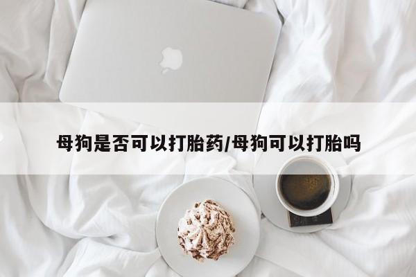 药流药购买微信母狗是否可以打胎药/母狗可以打胎吗
