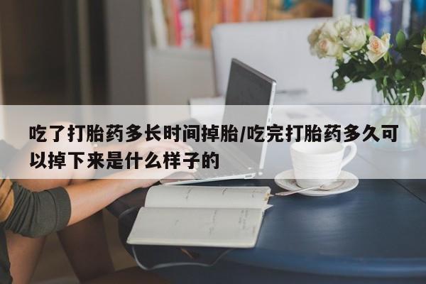 药流药购买微信吃了打胎药多长时间掉胎/吃完打胎药多久可以掉下来是什么样子的